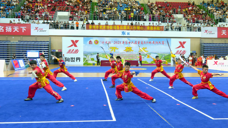 等单位协办, 夏南少林武 等单位协办, 夏南少林武